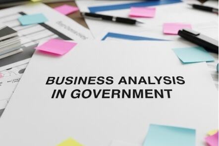 Business Analysis in Government: Getting Started