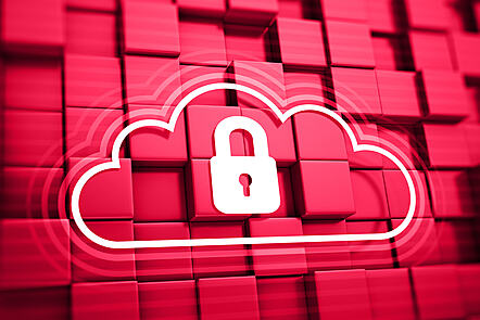 Risk Management and Security Vulnerabilities