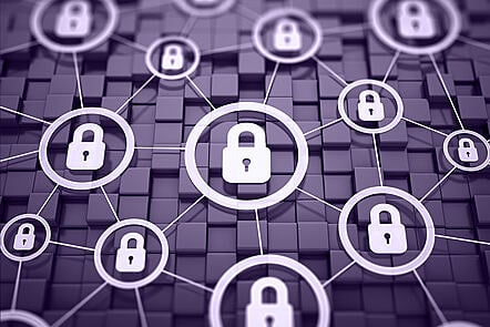 Network Security and Defence: Network Environments